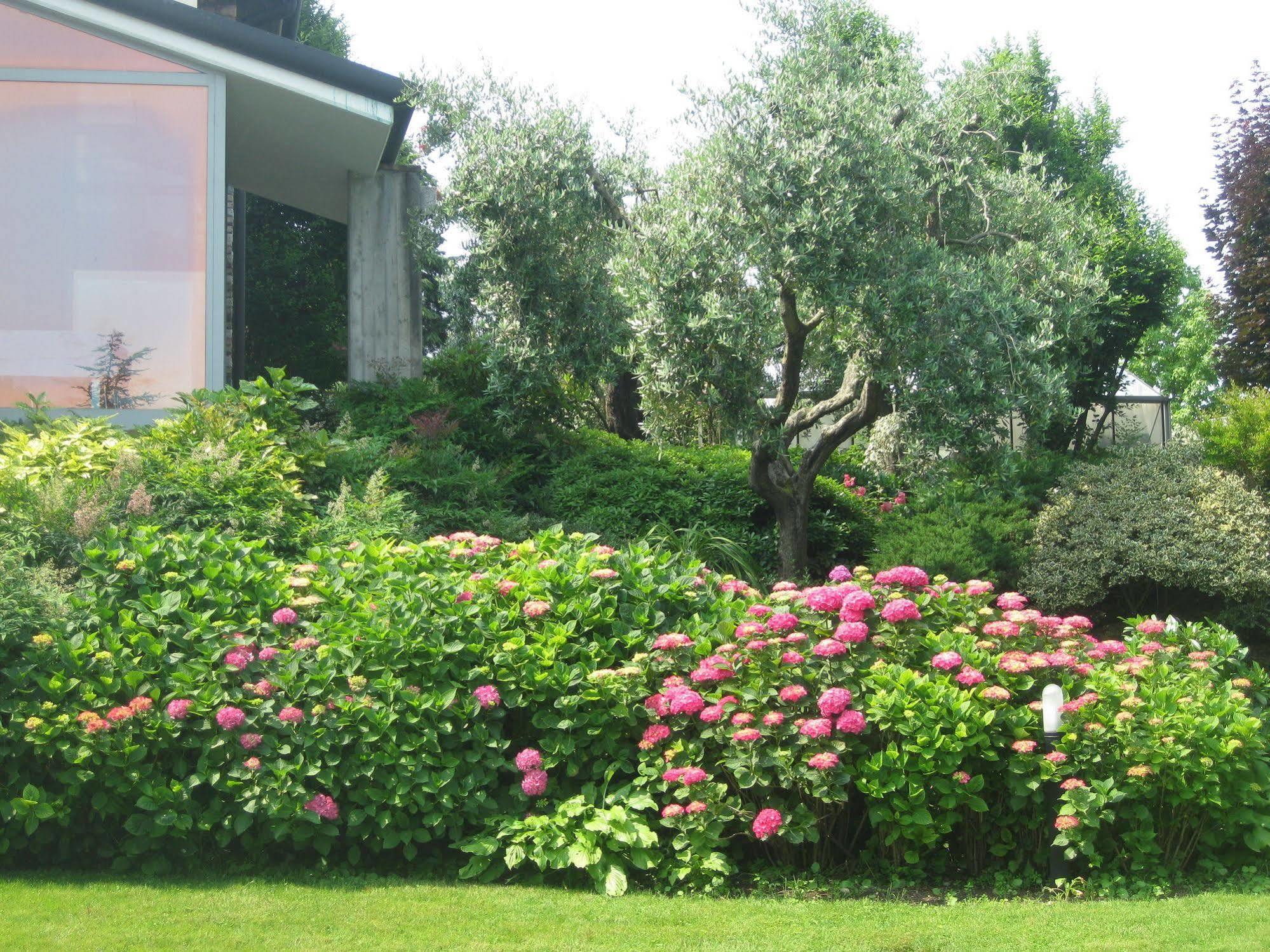 B&B Villa Adriano Дезенцано-дель-Гарда Екстер'єр фото