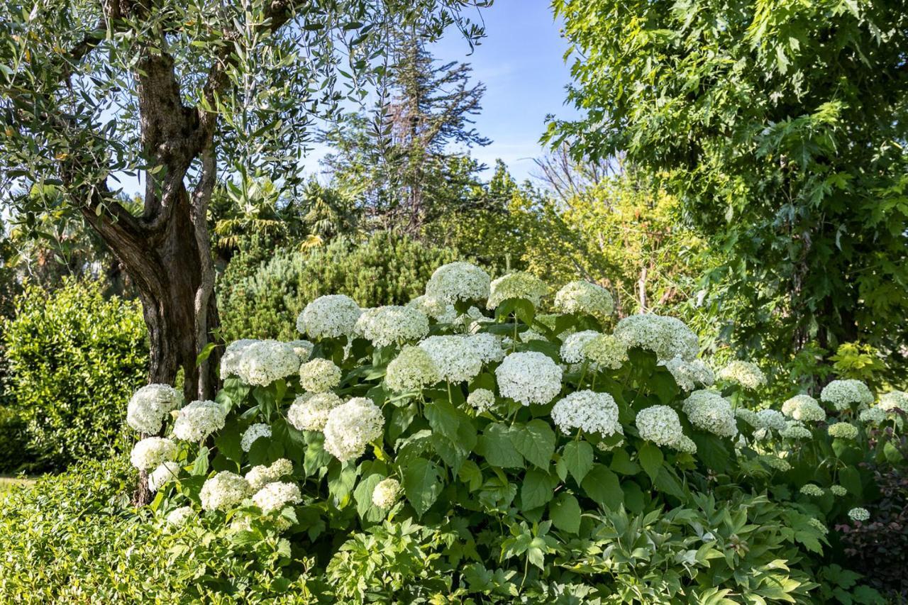 B&B Villa Adriano Дезенцано-дель-Гарда Екстер'єр фото